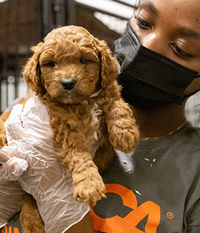 ASPCA responder holding a rescued dog