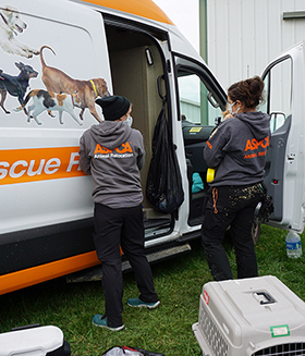 animal rescue transport vehicle