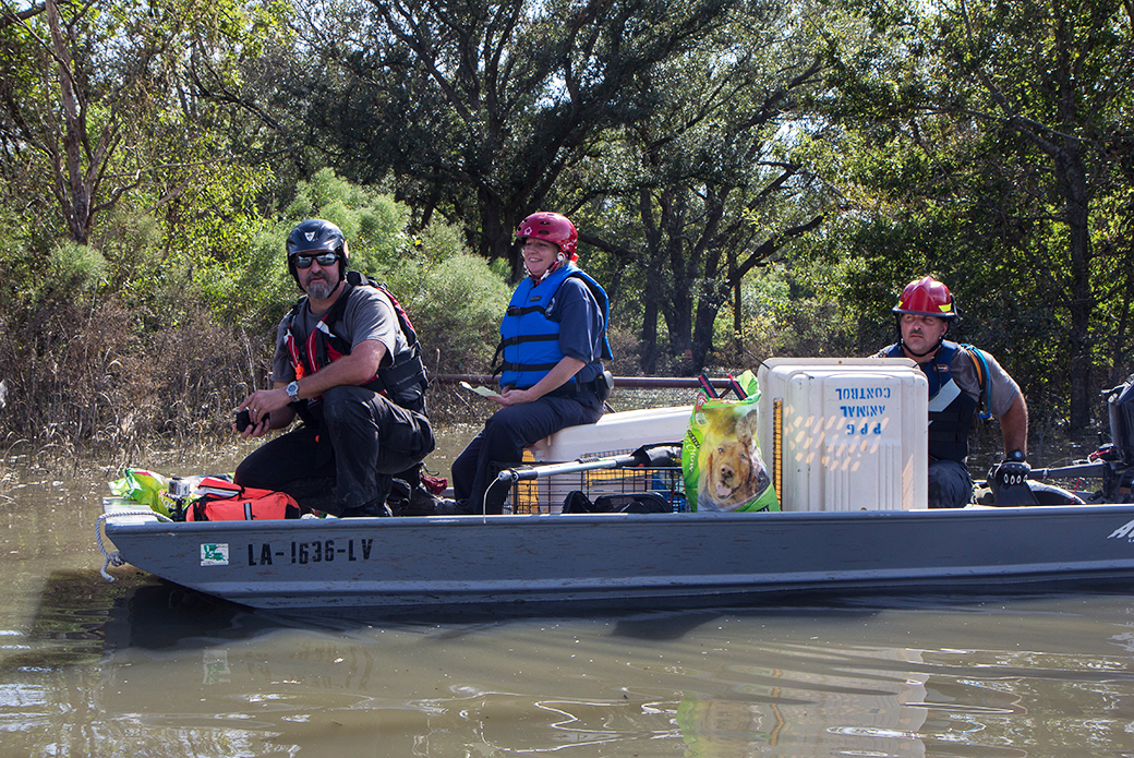 the ASPCA deploys staff to the Gulf Coast to assist 