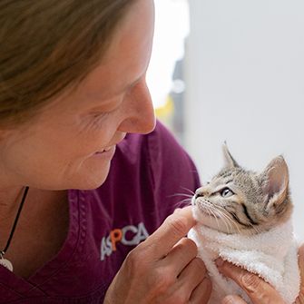 aspca staff member with a kitten