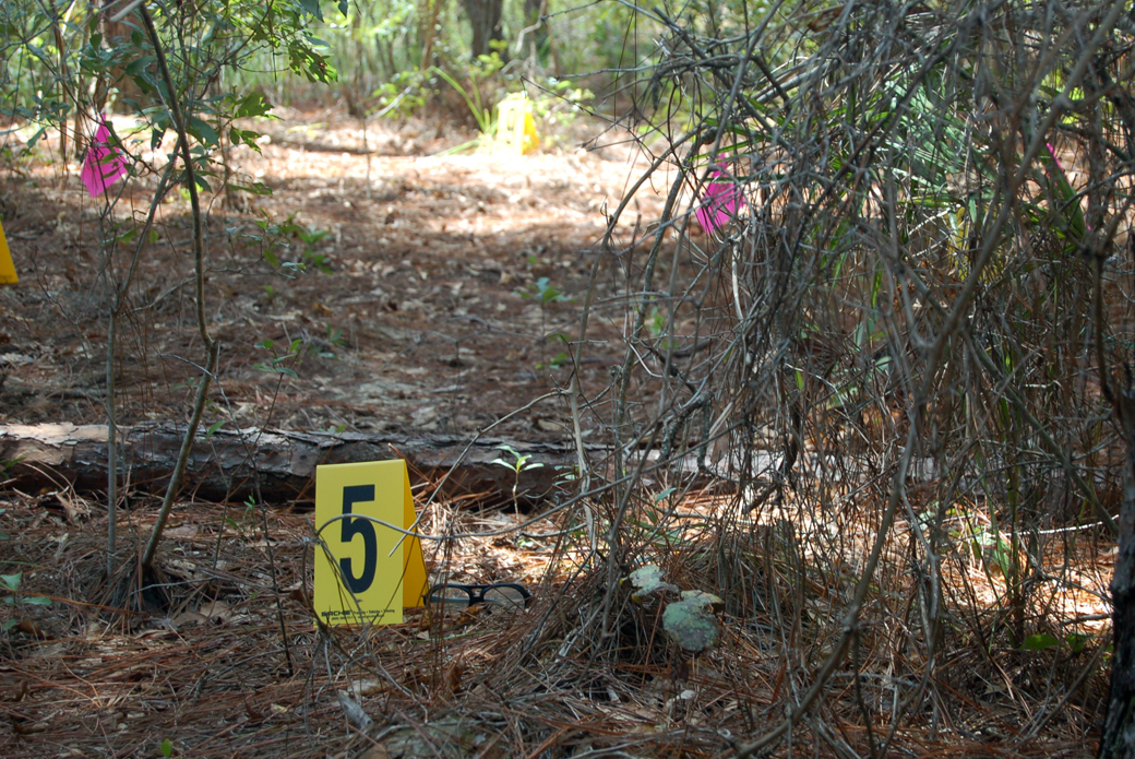 evidence markers