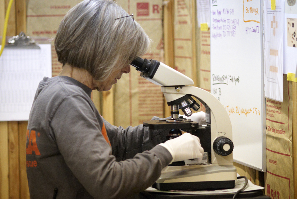 examining evidence under a microscope