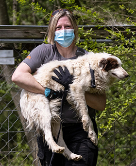 Susan Anderson, Director of Disaster Response